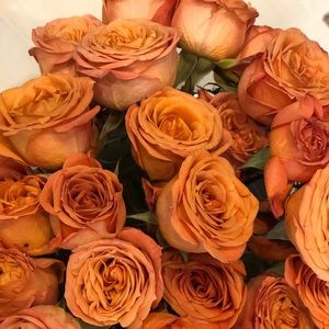 Meet your Posher, Malu